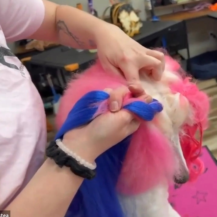 Hair Extensions, Curling & Braiding Tutorial