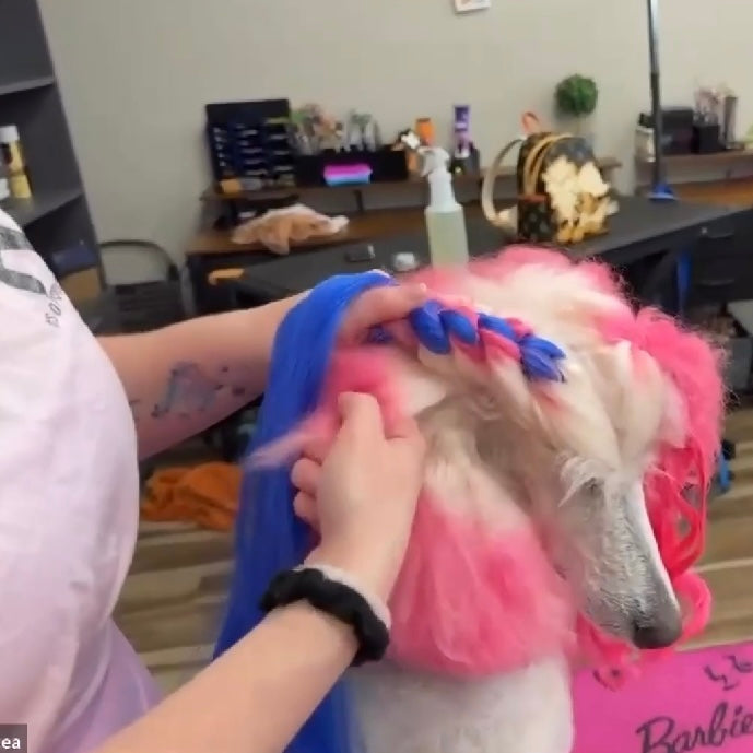 Hair Extensions, Curling & Braiding Tutorial