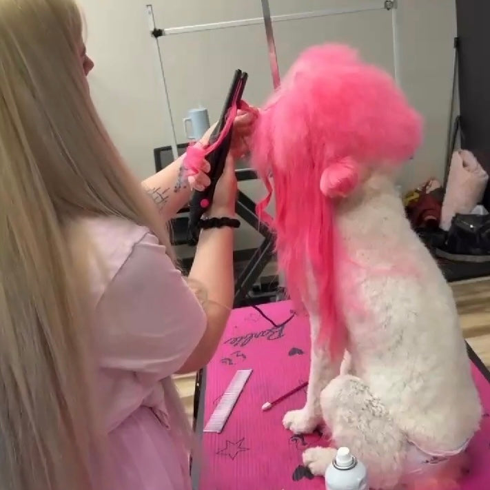 Hair Extensions, Curling & Braiding Tutorial