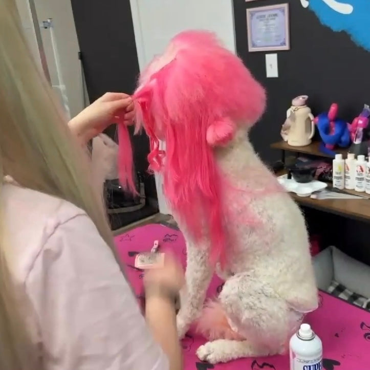 Hair Extensions, Curling & Braiding Tutorial